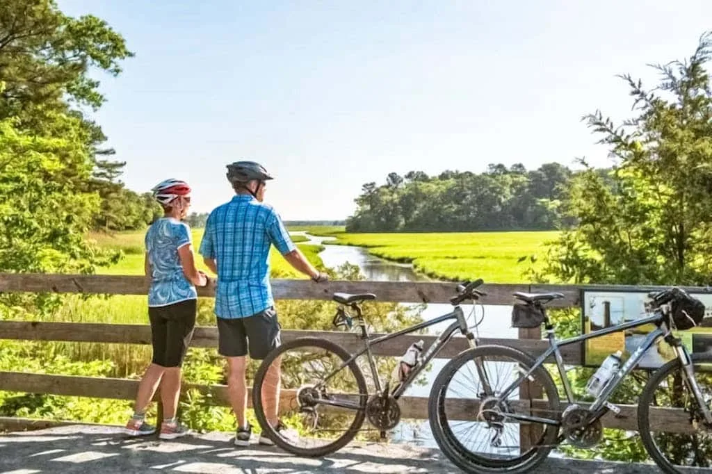 Dos ciclistas están junto a unas bicicletas, mirando un humedal verde desde una barandilla de madera.