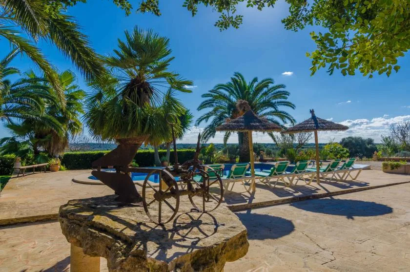 A sunny outdoor pool area with loungers and palm trees.