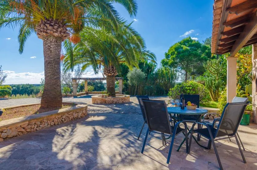 A sunny outdoor patio has a table and seating beneath palm trees.