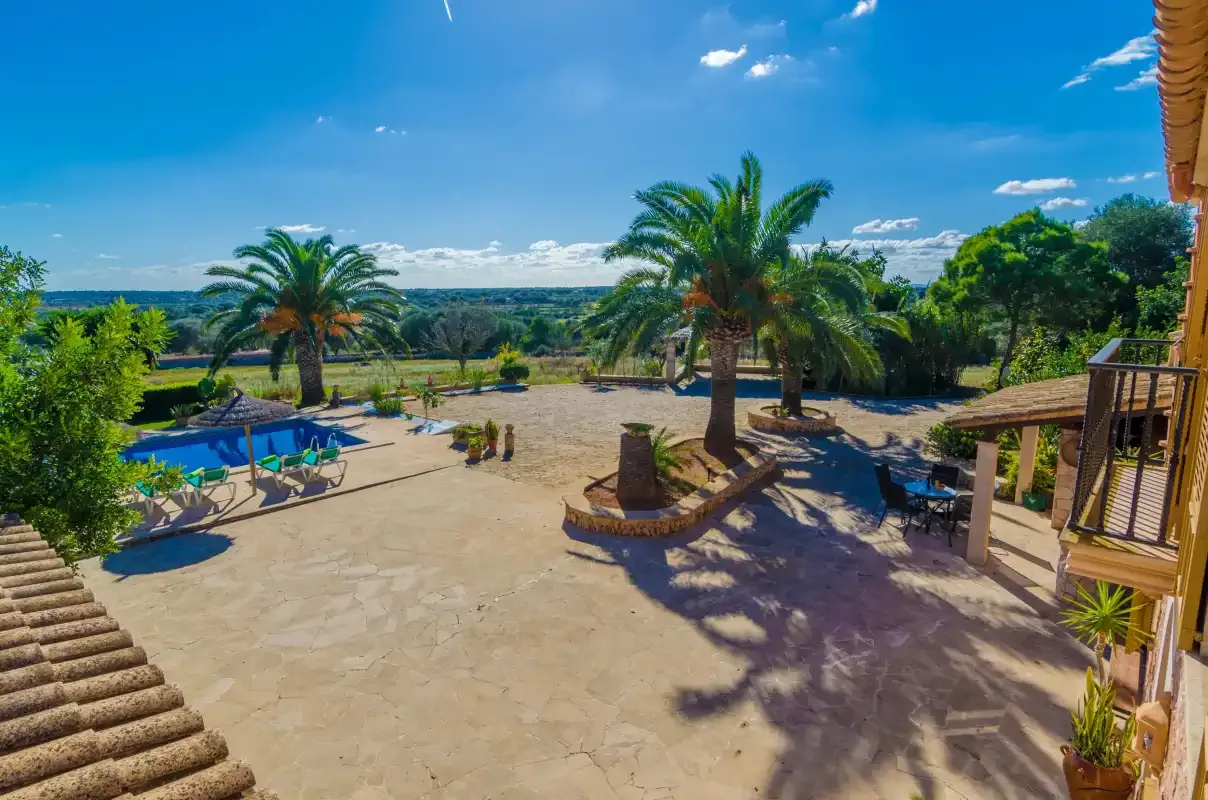 A sunny outdoor patio with palm trees, a swimming pool, and seating.