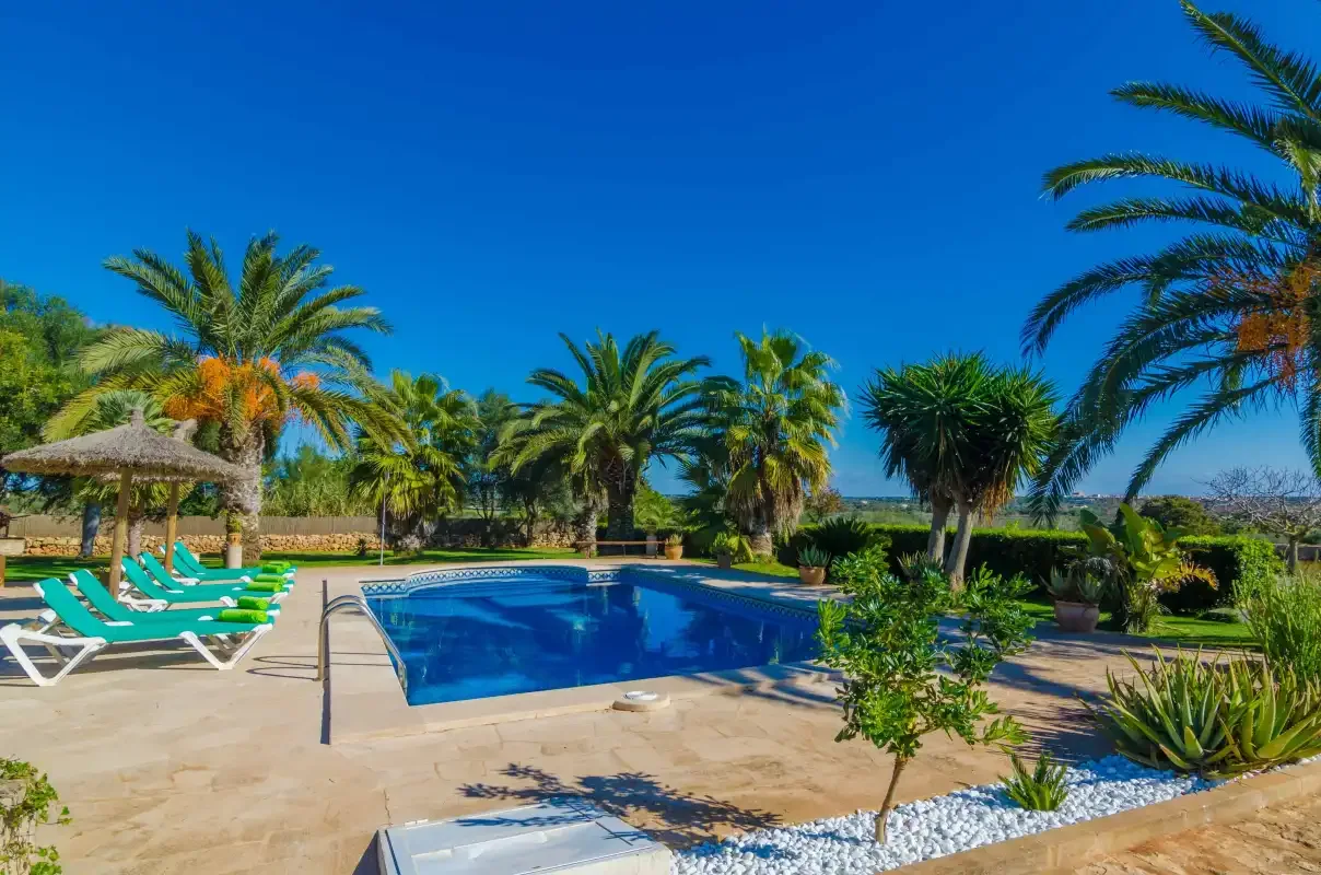 A swimming pool surrounded by palm trees, greenery, and sun loungers.
