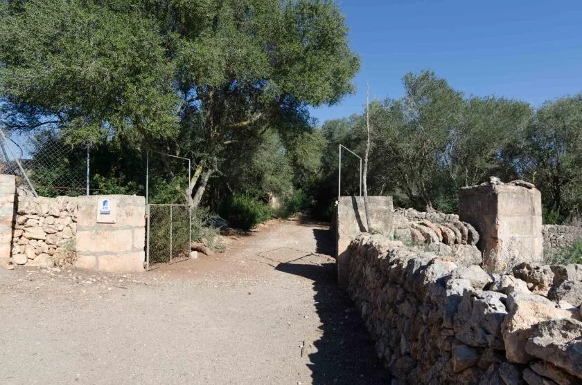 Outdoor dirt path runs between stone walls beneath leafy trees.