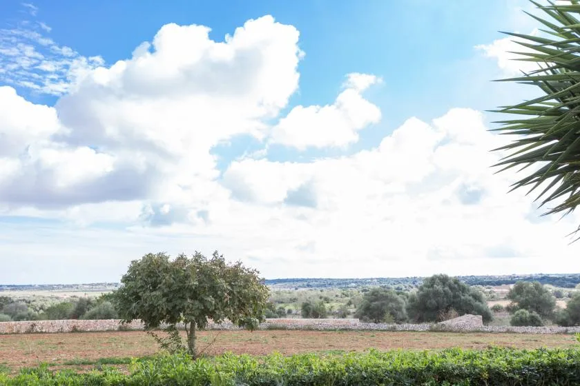 A countryside landscape with trees and fields beneath a cloudy sky.
