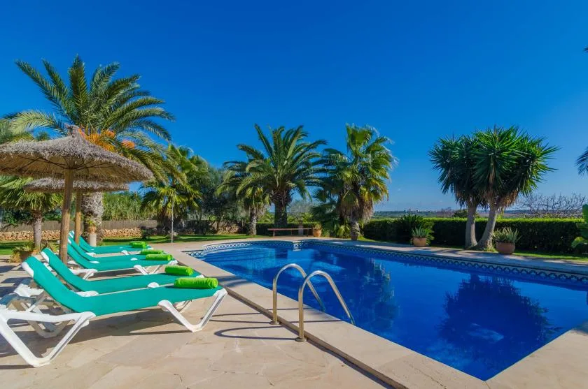 Una piscina con tumbonas turquesas y palmeras en el jardín que la rodea.