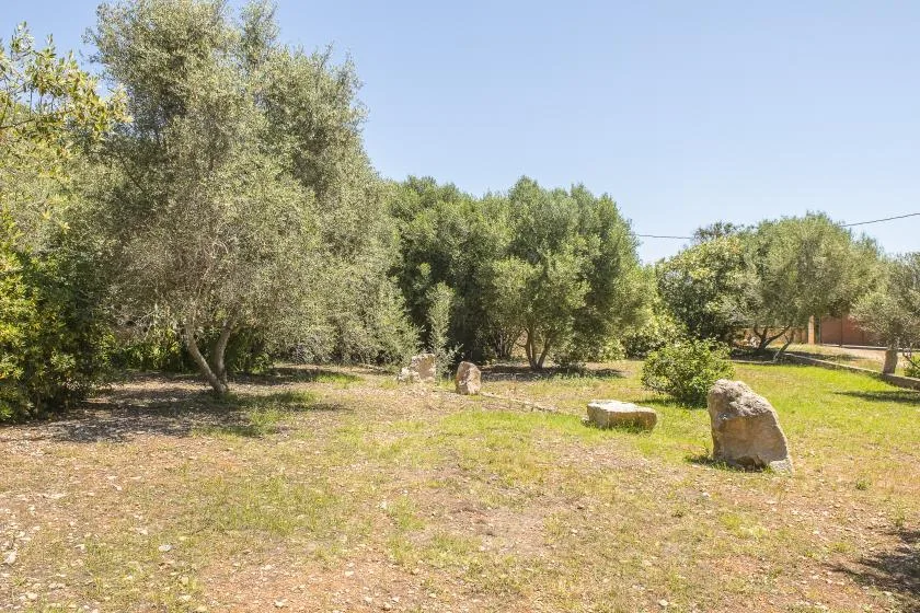 A grassy outdoor area with mature trees and several large rocks.