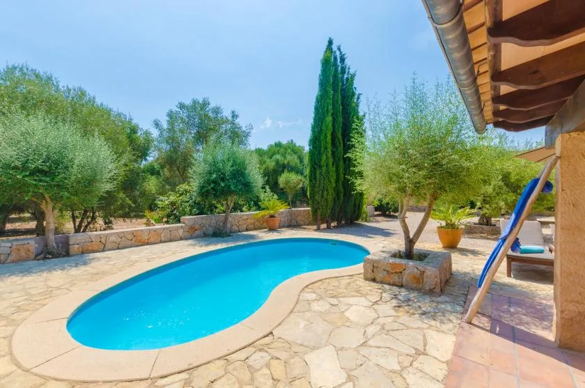 A curved swimming pool sits in a sunny stone-paved garden.