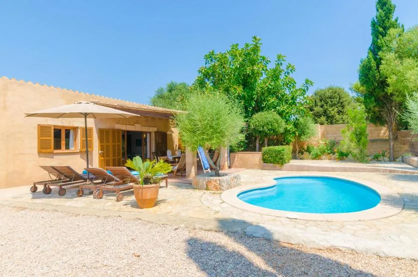 A courtyard pool sits beside a low building, patio seating, and leafy trees.