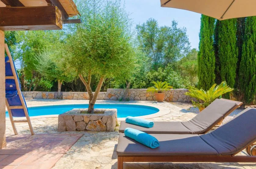A poolside patio with lounge seating, trees, and greenery.