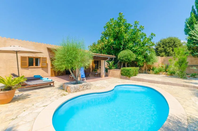 An outdoor swimming pool sits beside a sunlit patio and a low house.