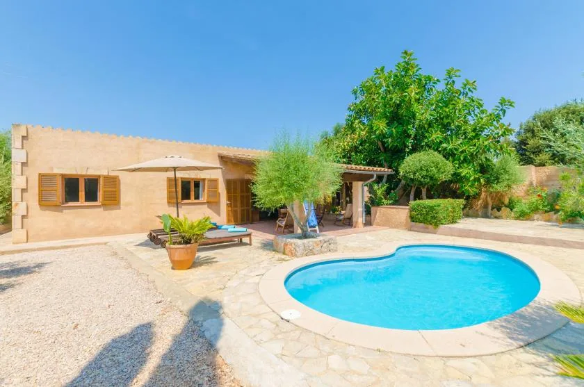 A swimming pool sits in a sunny courtyard beside a low building and leafy trees.