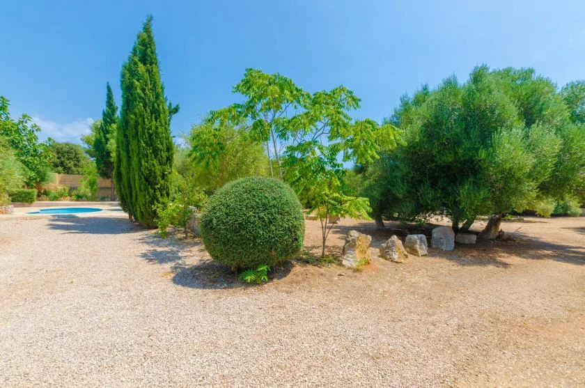 An outdoor garden with gravel ground, trimmed shrubs, and leafy trees.