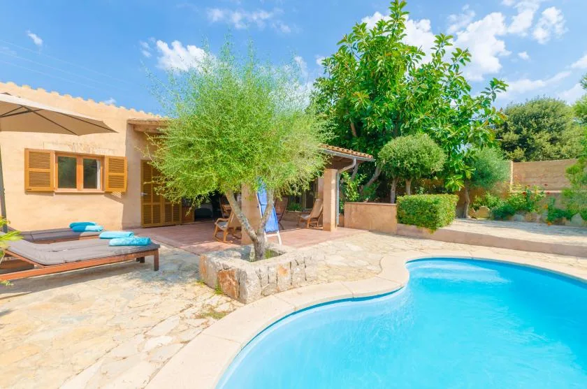 A sunny courtyard with a swimming pool, paved patio, and leafy trees.
