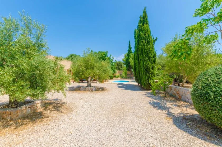 A gravel garden path runs between trees toward a small pool.