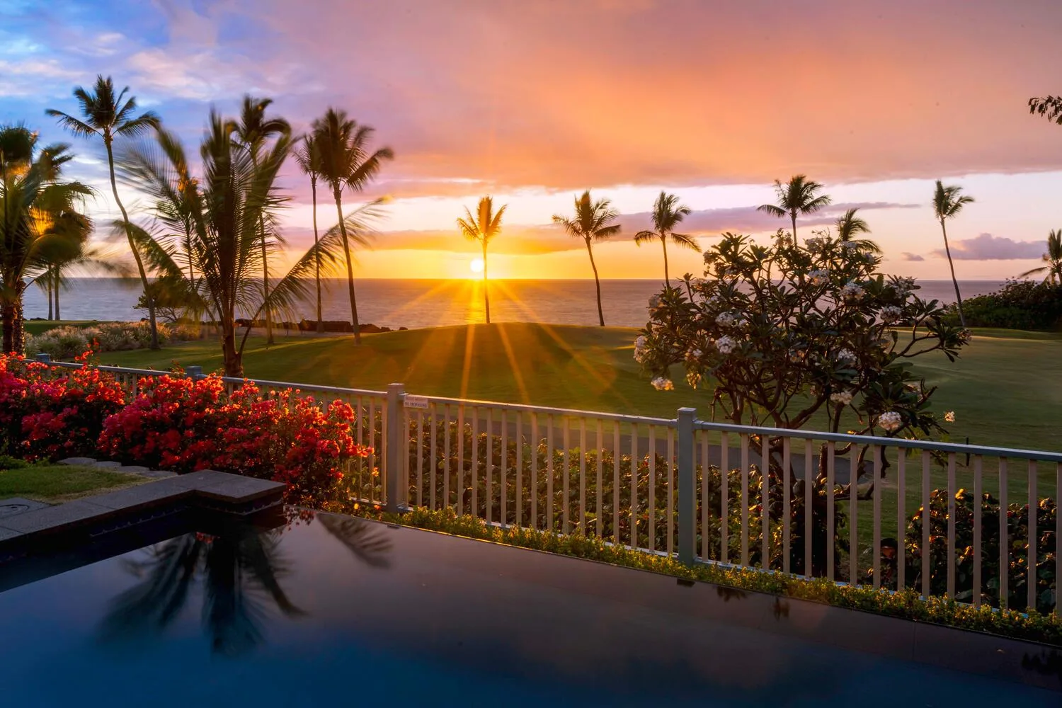 A tropical oceanfront garden overlooks the water at sunset.