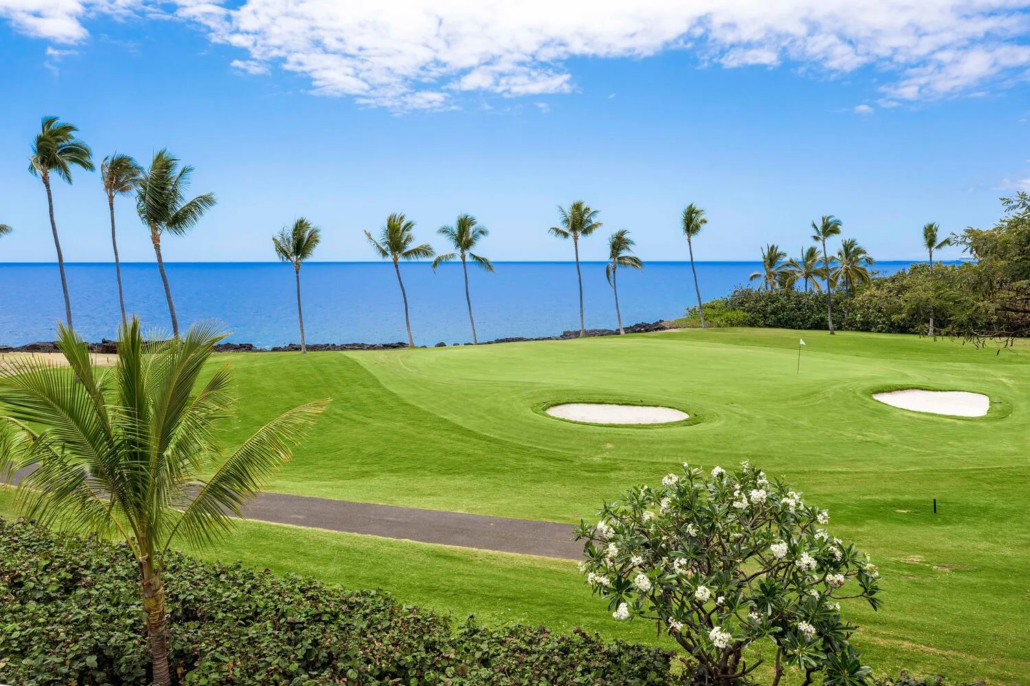 A coastal golf course with putting greens, palm trees, and the ocean beyond.