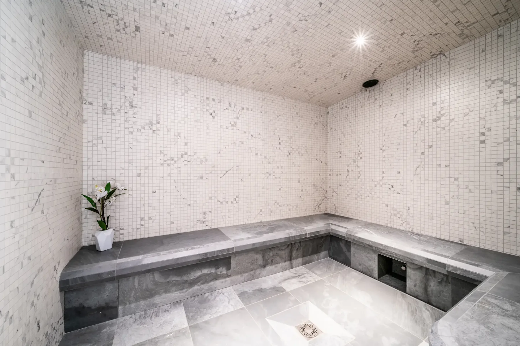 A tiled spa room with a built-in soaking pool and a potted plant.