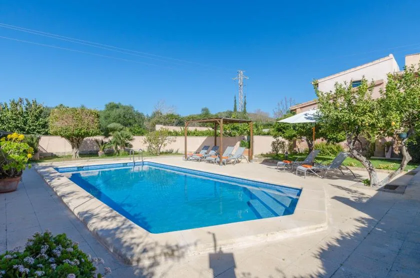 An outdoor swimming pool is surrounded by paved patio space, trees, and lounge seating.