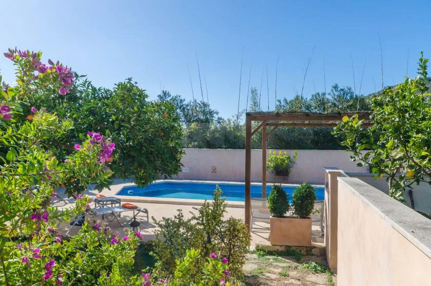 Una piscina al aire libre está junto a una pérgola, rodeada de plantas con flores.