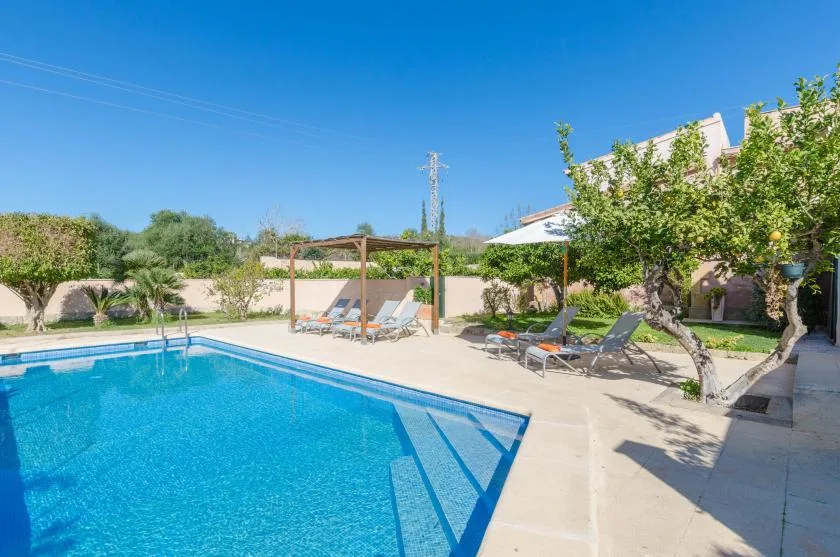 Una piscina exterior junto a un patio pavimentado con tumbonas y árboles.