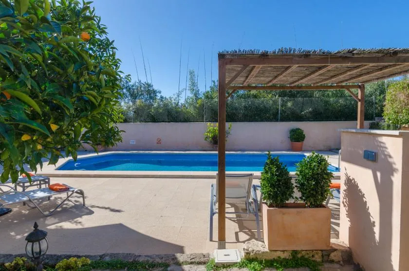 Una piscina al aire libre está junto a un patio soleado con asientos y plantas en macetas.