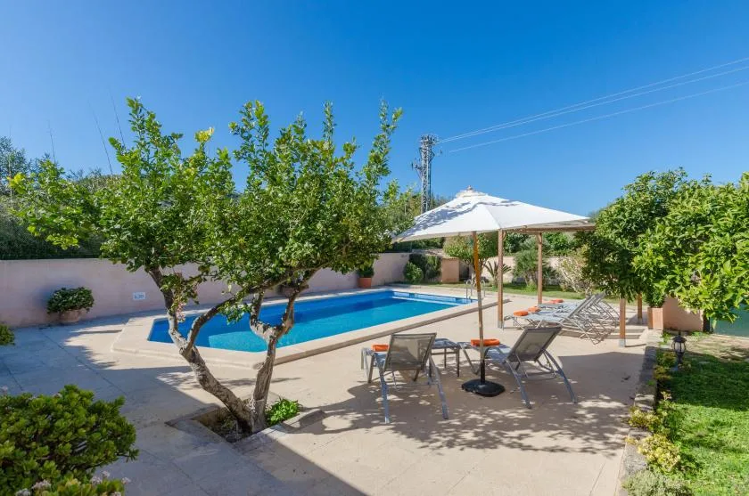 Una piscina al aire libre está junto a un patio sombreado con asientos y árboles.