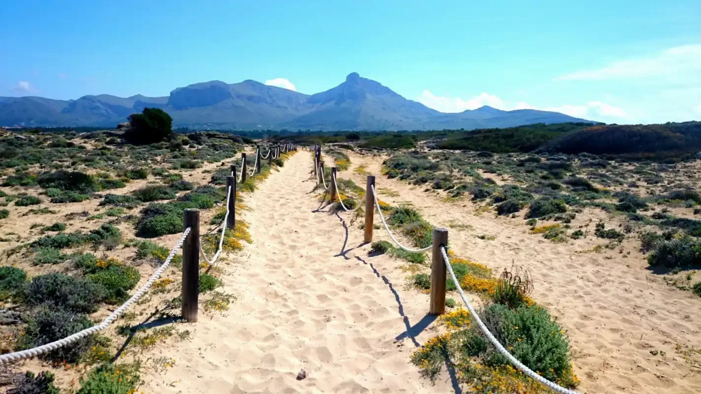 A sandy path crosses low scrub toward a mountain range under a clear sky.