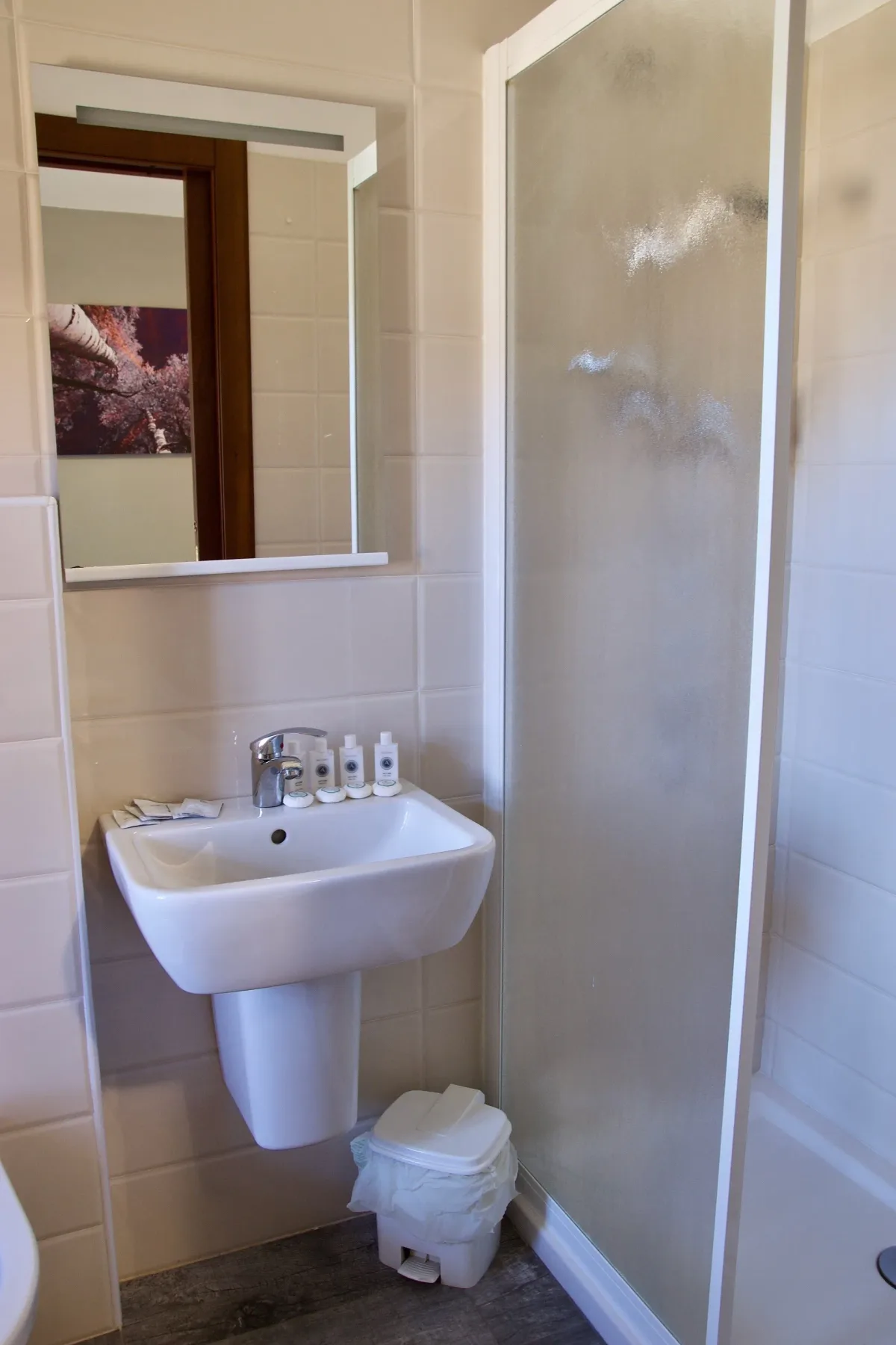 Baño con lavabo, inodoro y ducha.