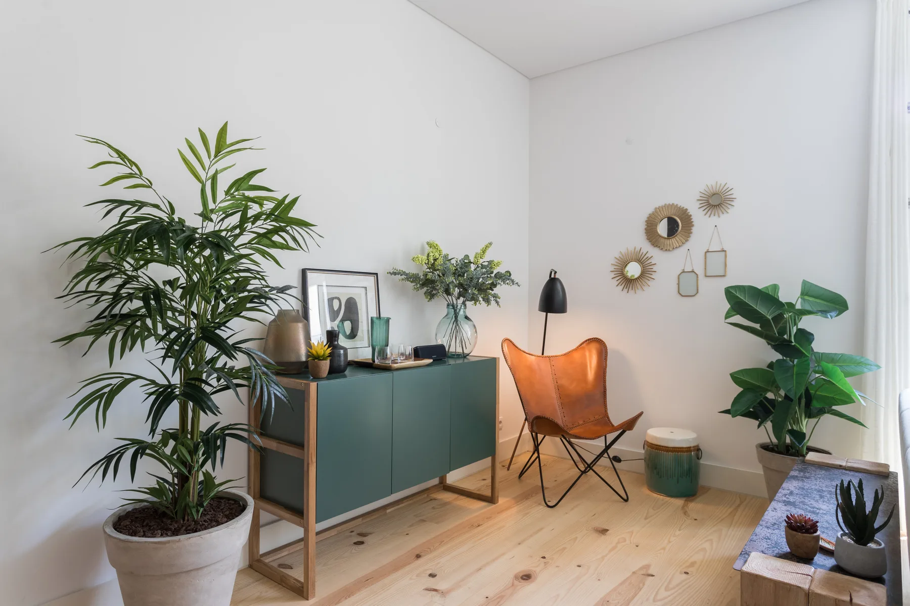 A bright living room with seating, plants, and a low cabinet.