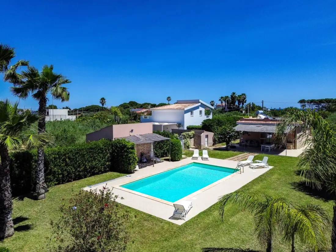 Una piscina está en un jardín con palmeras y casas alrededor.