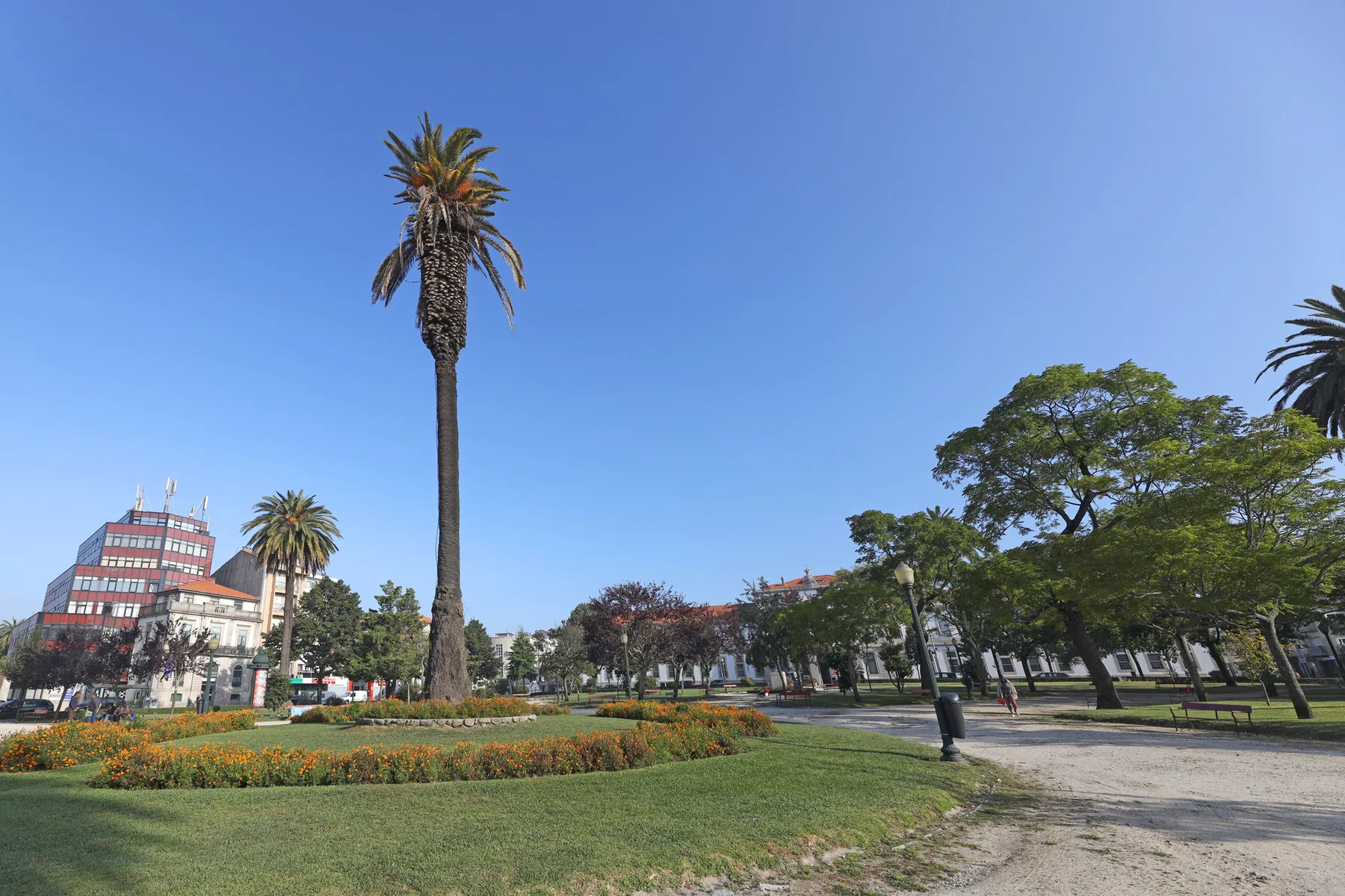 Un parque urbano ajardinado con palmeras y parterres bajo un cielo despejado.