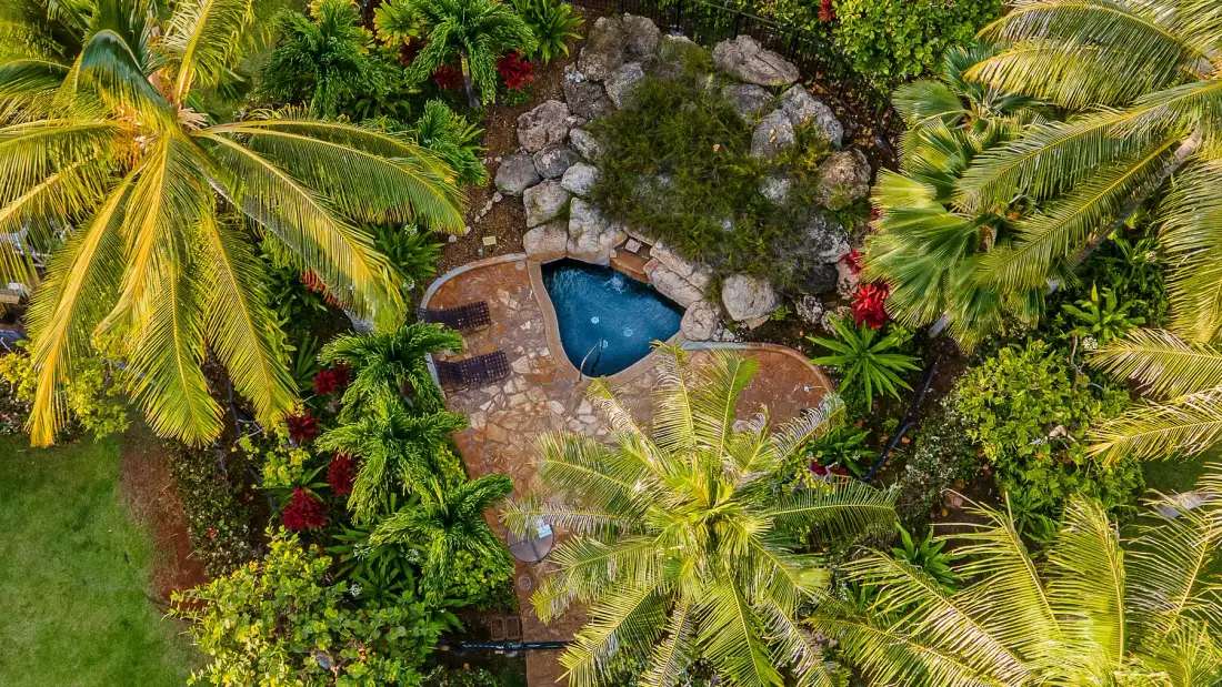 Una pequeña piscina está rodeada de rocas y plantas tropicales.