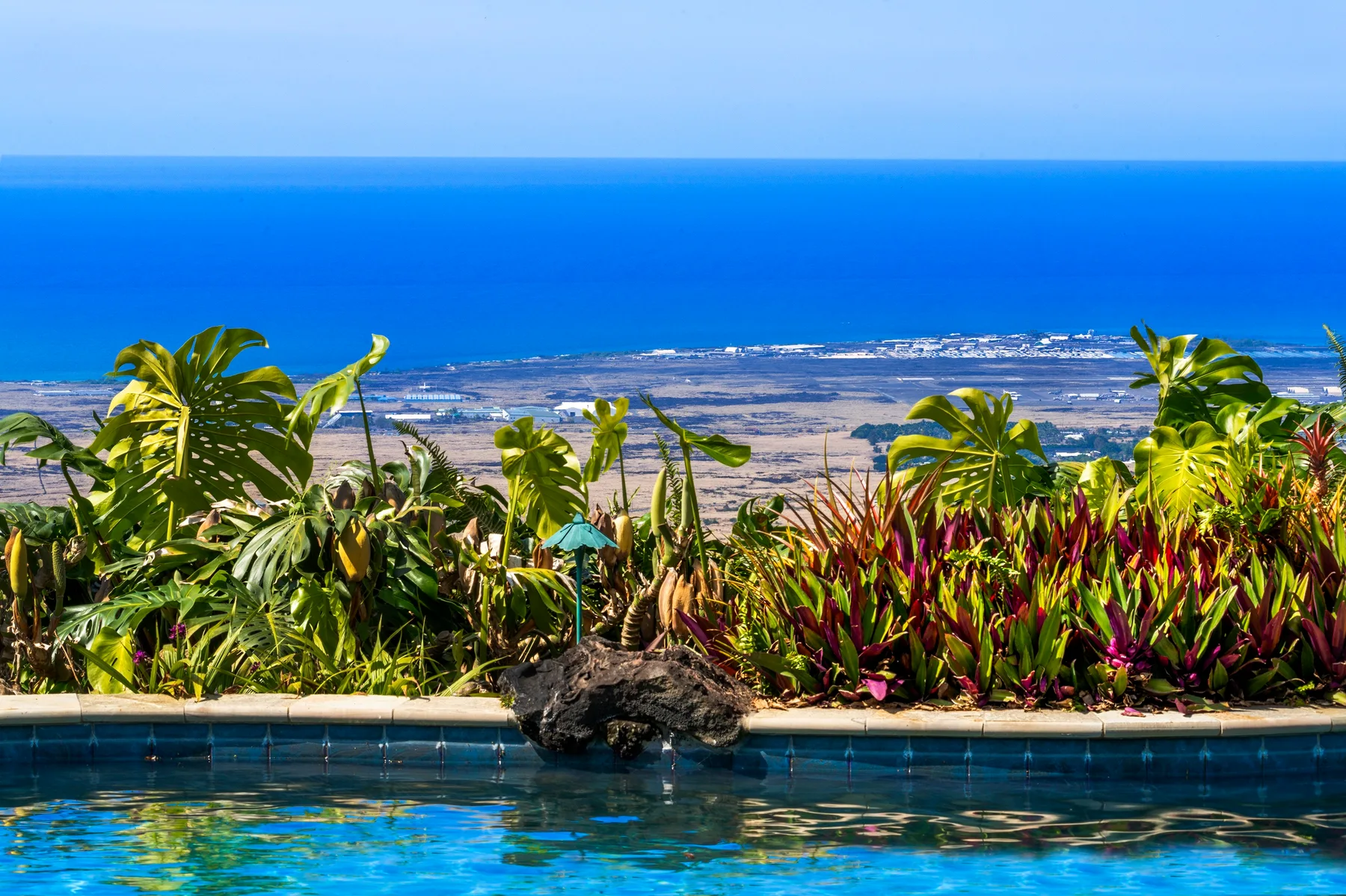 Una piscina tiene vistas a un paisaje costero, rodeada de plantas tropicales.
