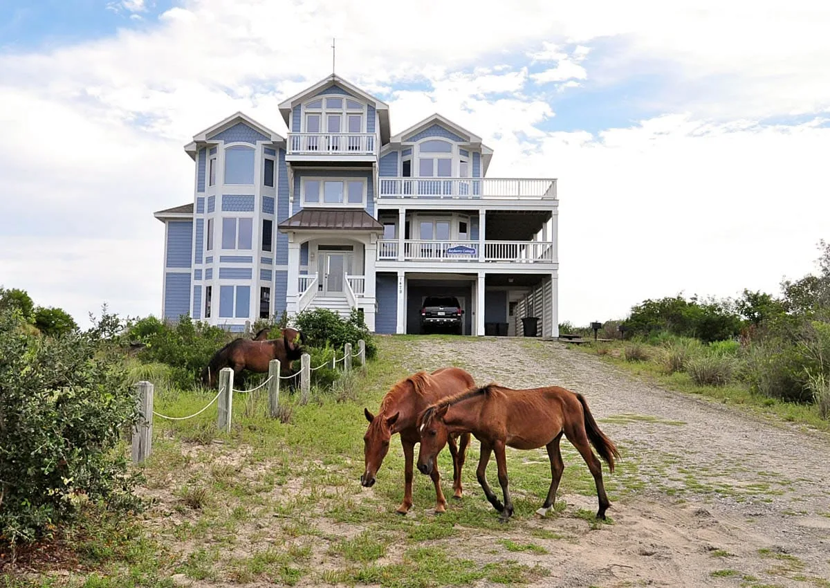 A large blue house stands beside a gravel drive, with horses grazing in the foreground.