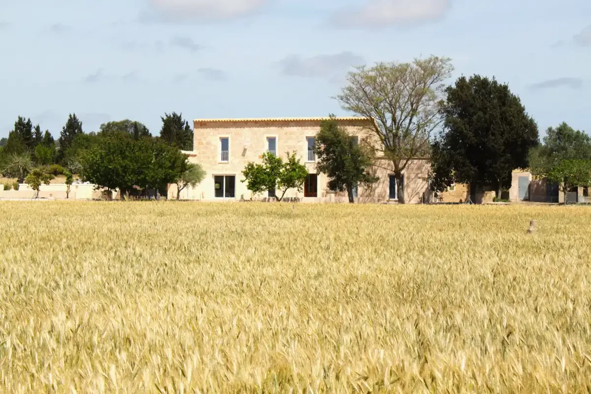 Una casa clara de dos plantas se alza tras un campo dorado bajo un cielo parcialmente nublado.