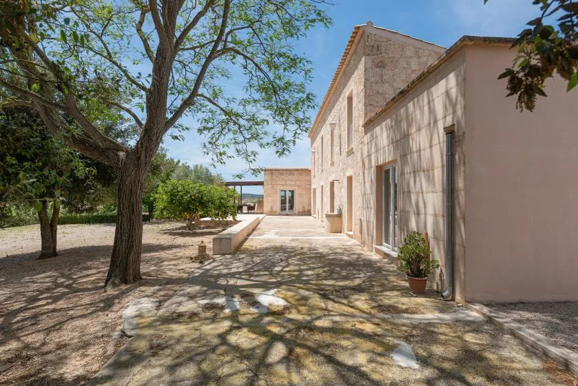 Un patio de piedra junto a un edificio, con árboles que dan sombra sobre el pavimento.