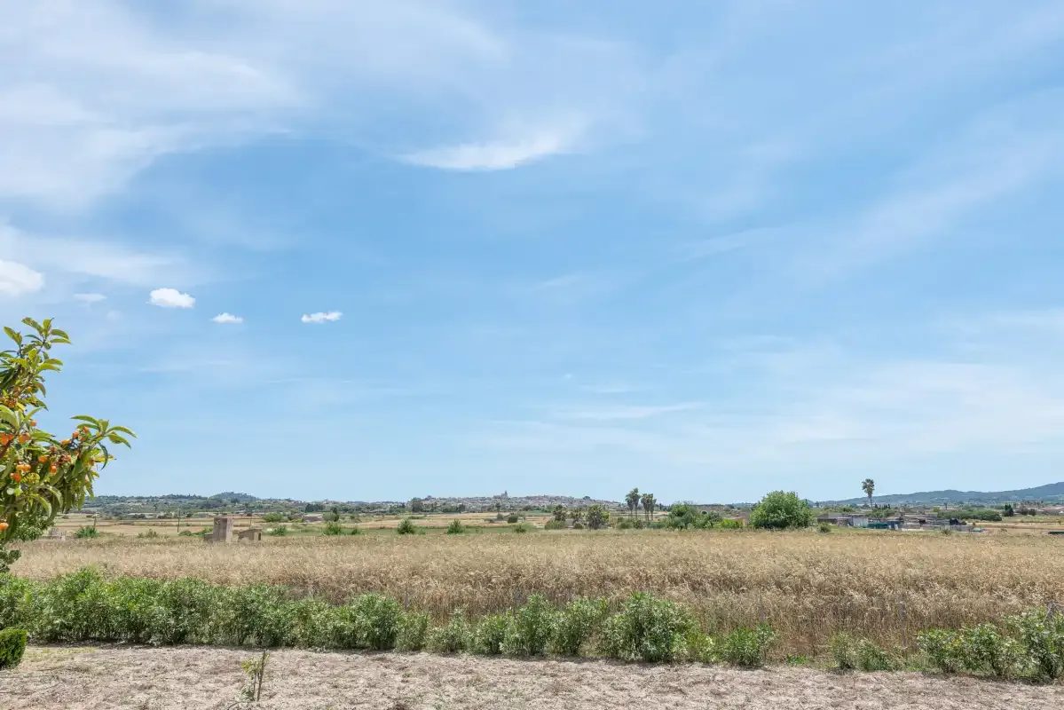 Un amplio campo rural se extiende bajo un cielo azul.