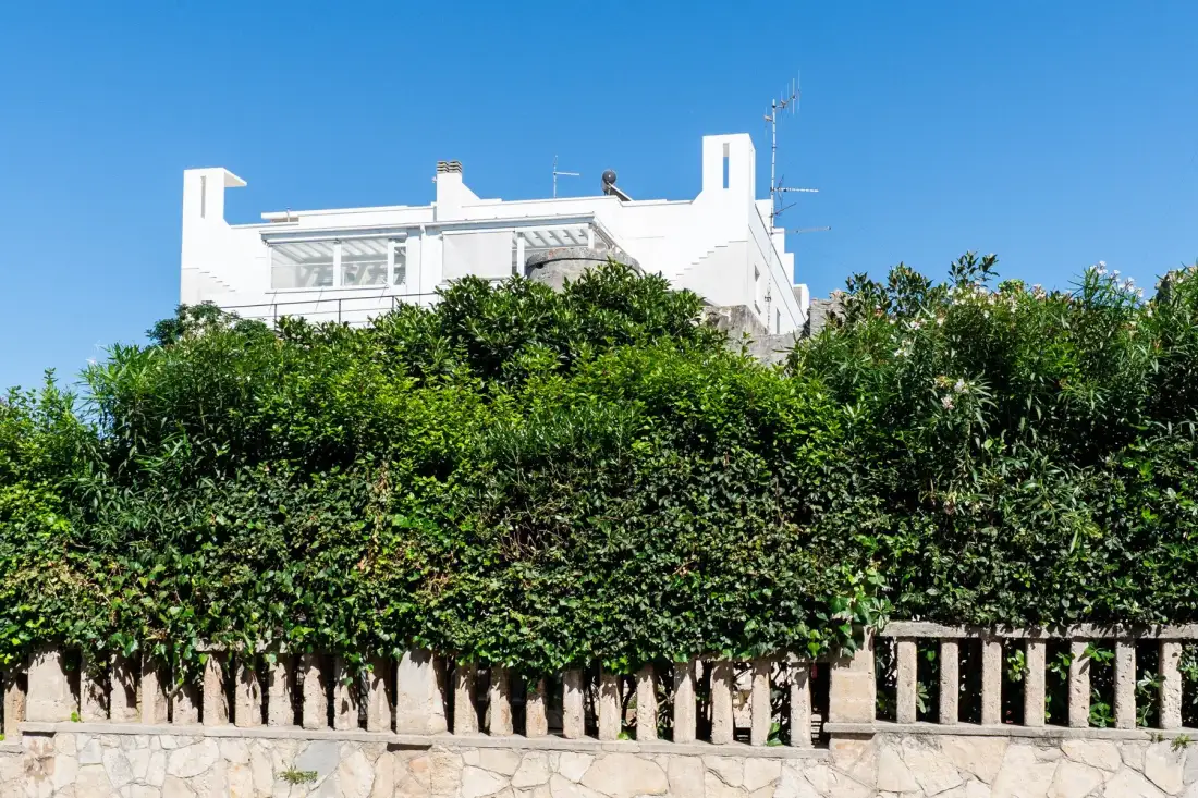 Un edificio blanco se eleva sobre un seto verde alto bajo un cielo azul despejado.