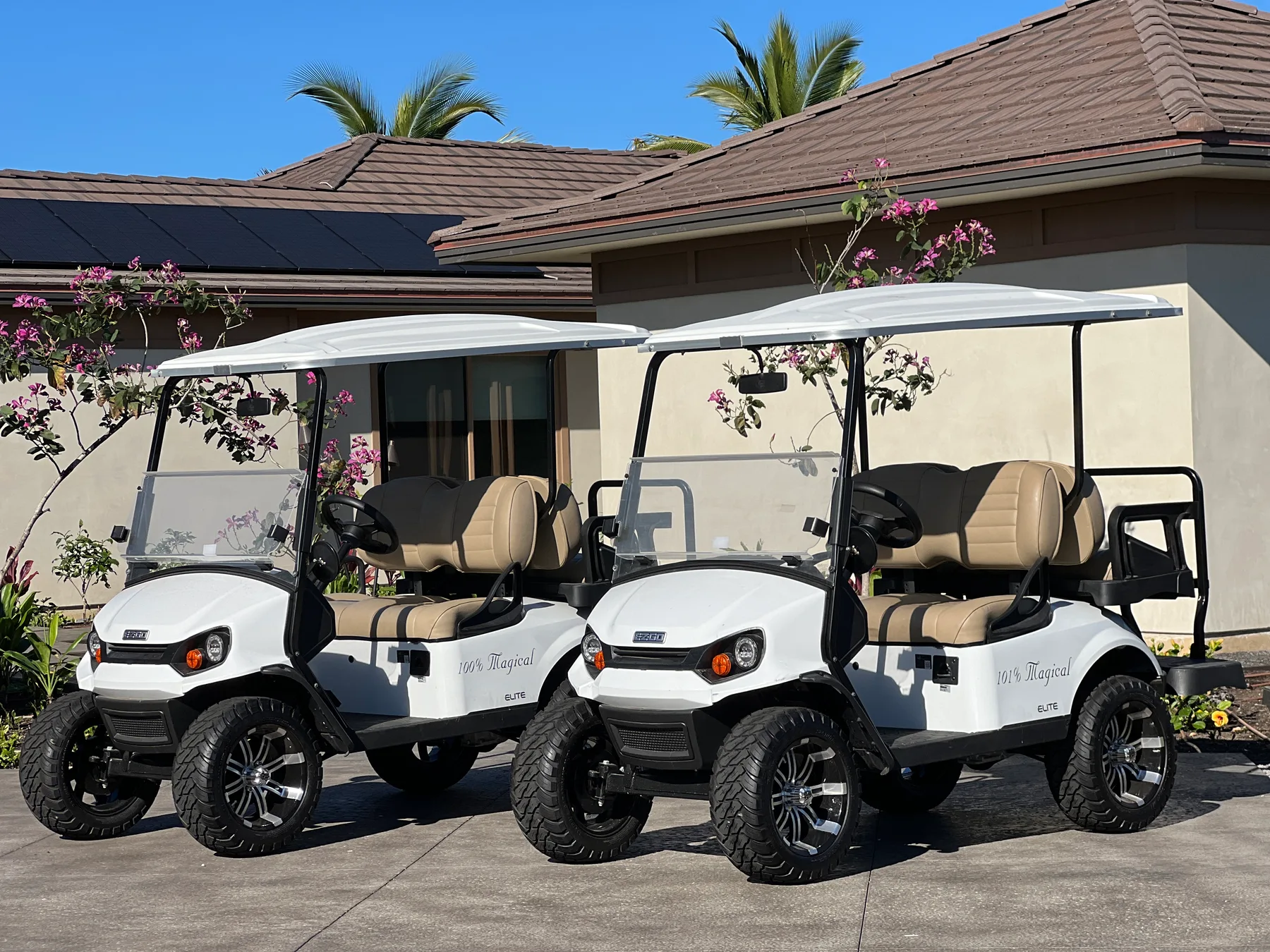 Dos carritos de golf están estacionados frente a una casa con arbustos en flor.