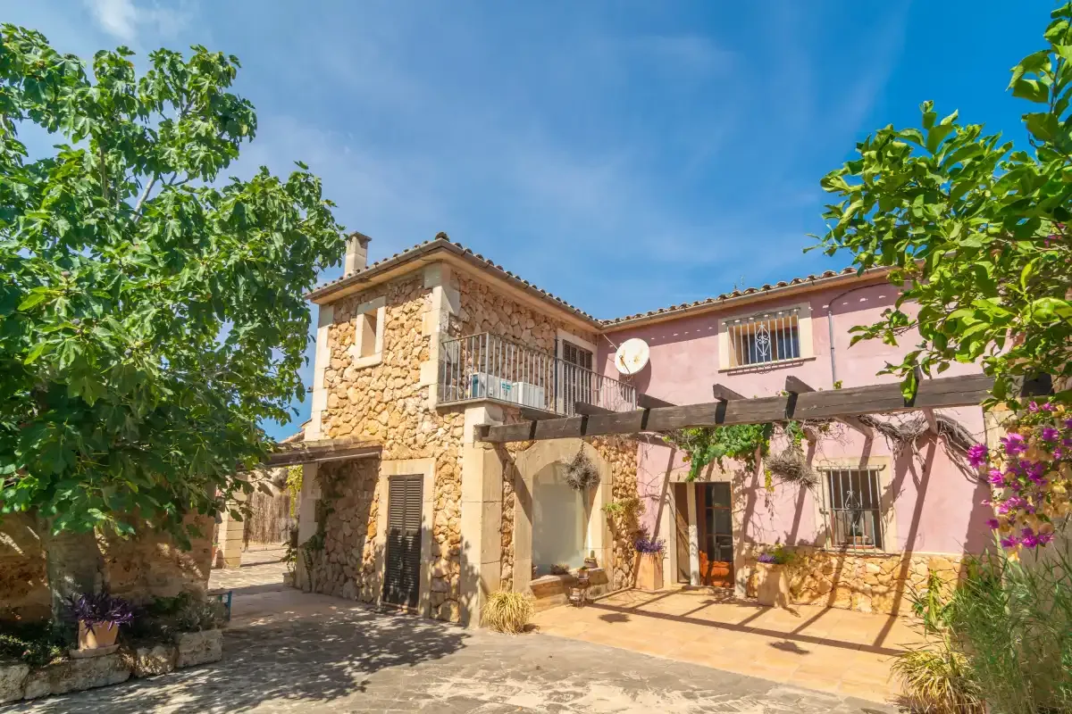 A sunny courtyard beside a stone-and-pink building, with leafy trees and climbing vines.