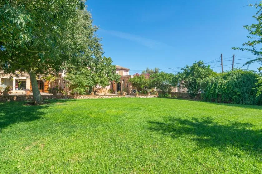 A spacious green lawn stretches across a garden with trees and a house in the background.