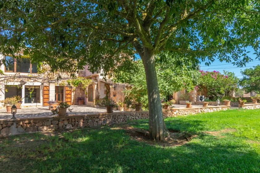 A leafy garden with a large tree in front of a stone house and patio.