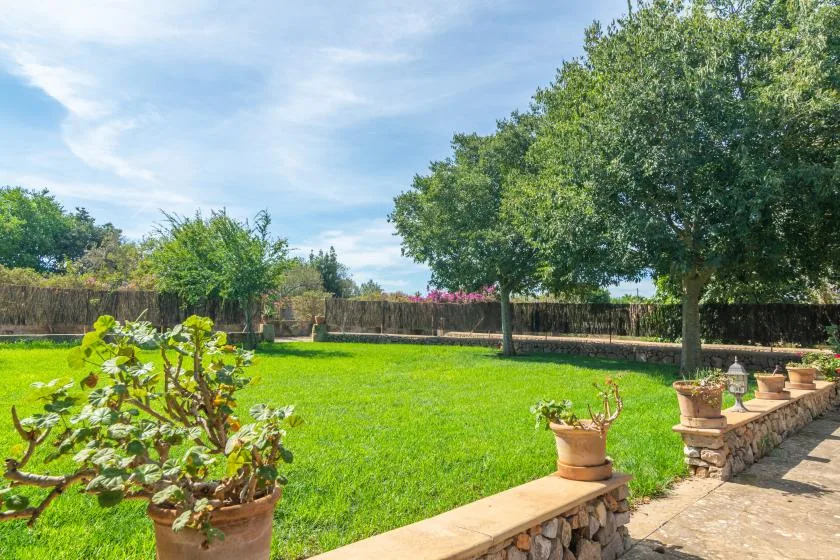 A sunny garden lawn bordered by trees, potted plants, and a low stone wall.