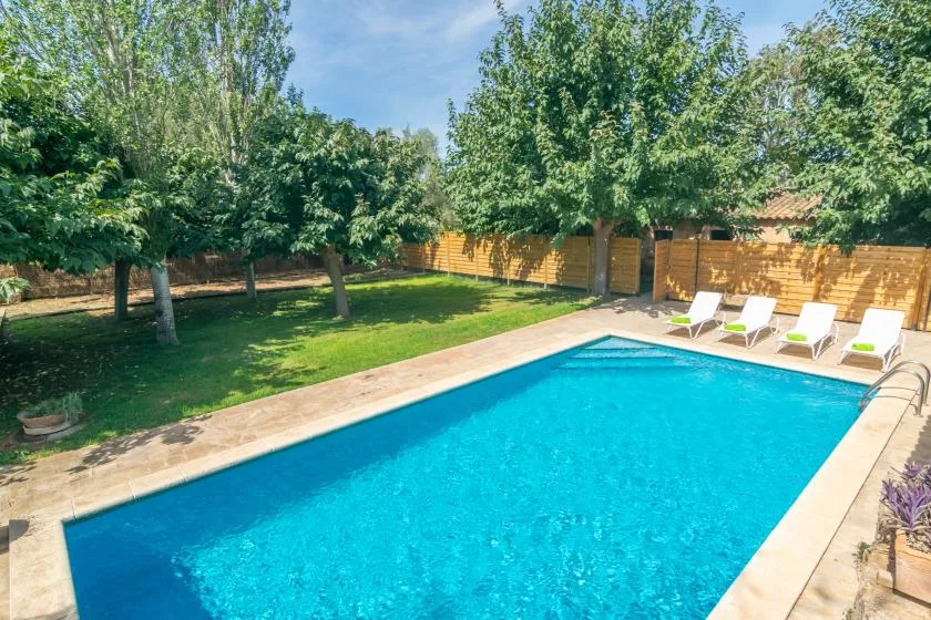 An outdoor swimming pool sits beside a leafy garden and several lounge chairs.