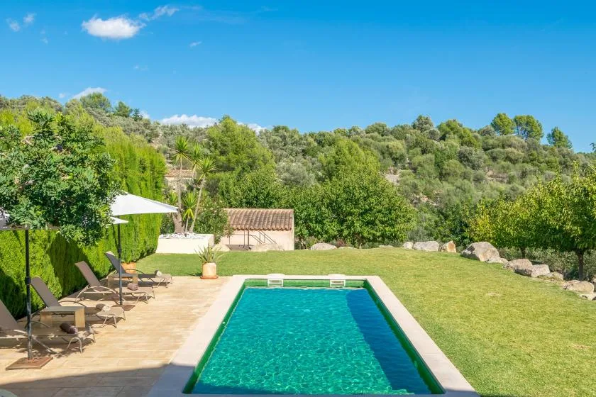 A swimming pool beside a paved patio, with a grassy lawn and trees beyond.