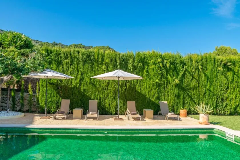 An outdoor swimming pool with lounge seating and umbrellas beside a tall green hedge.