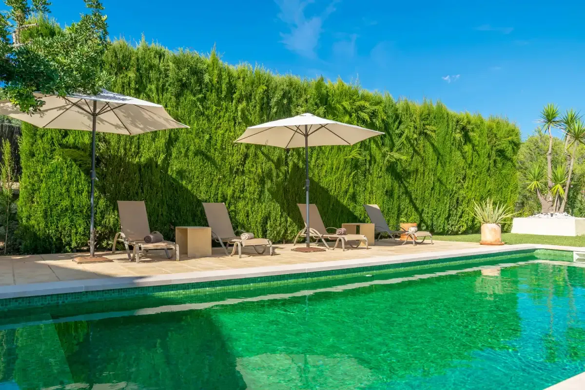 Outdoor swimming pool beside a paved patio with loungers and umbrellas.