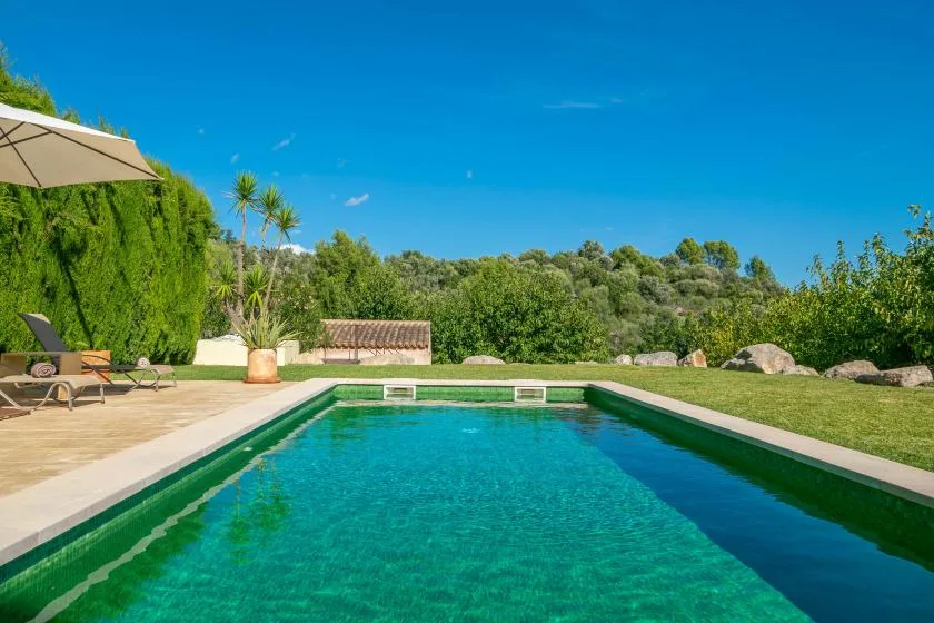 An outdoor swimming pool sits beside a lawn and garden seating.