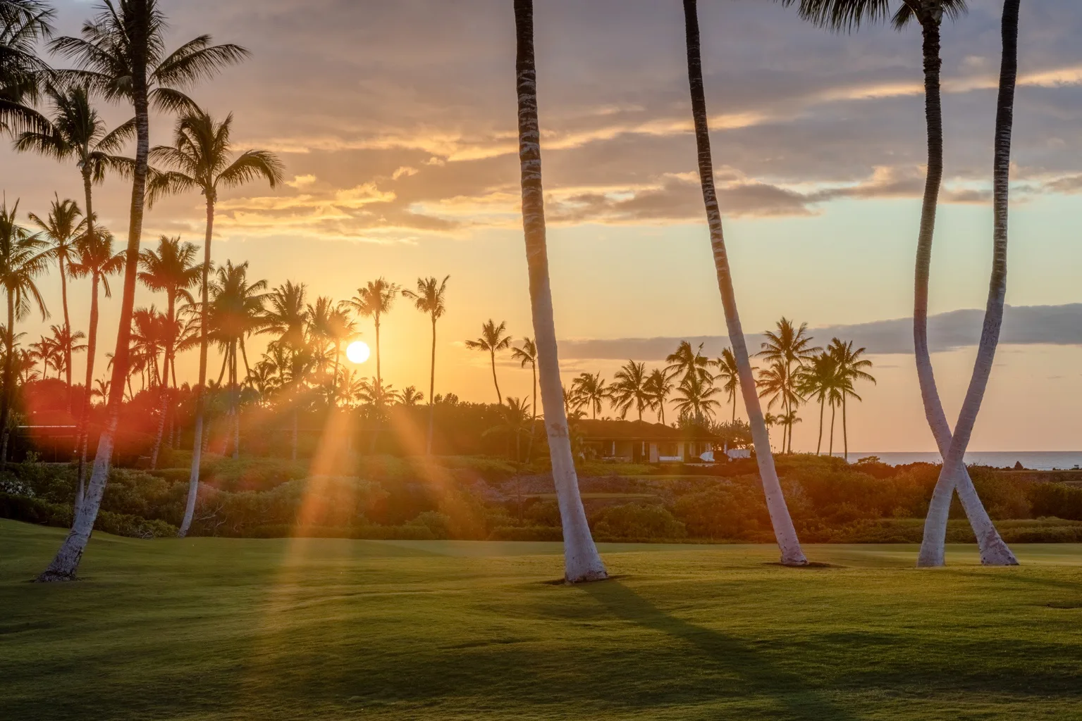 A sunset over a grassy tropical landscape lined with palm trees.
