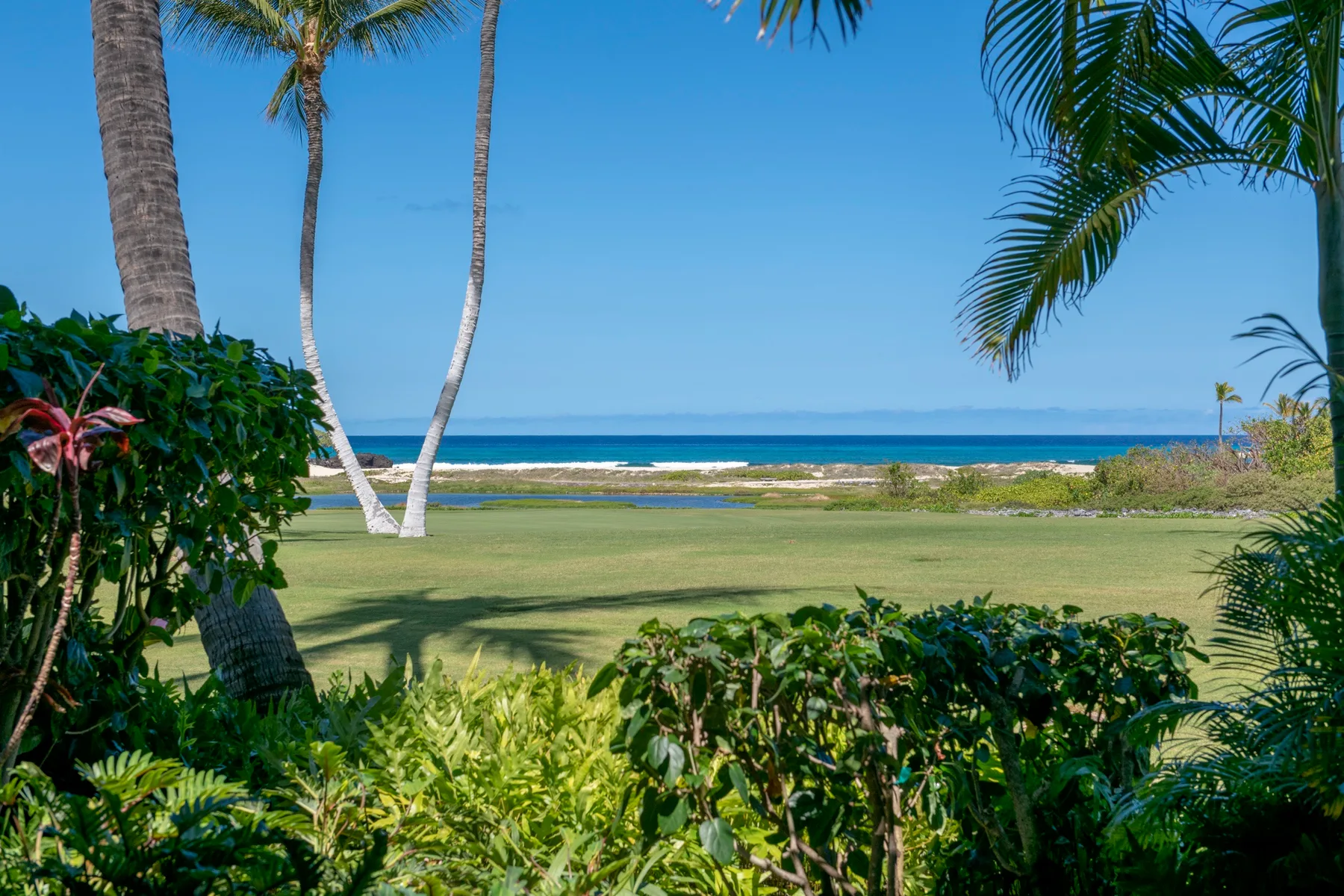 A tropical garden lawn opens toward the ocean beneath palm trees.
