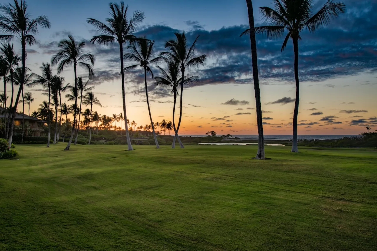 A grassy coastal lawn with palm trees overlooks the ocean at sunset.